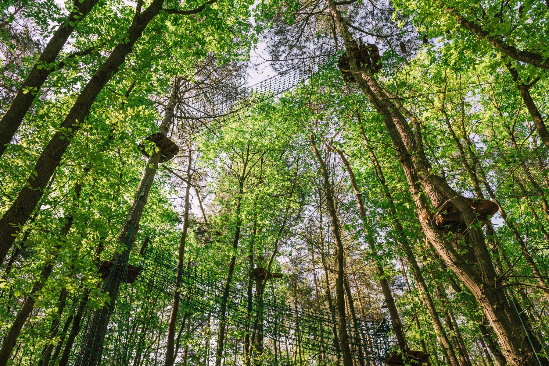 parc d'accrobranche près de Paris
