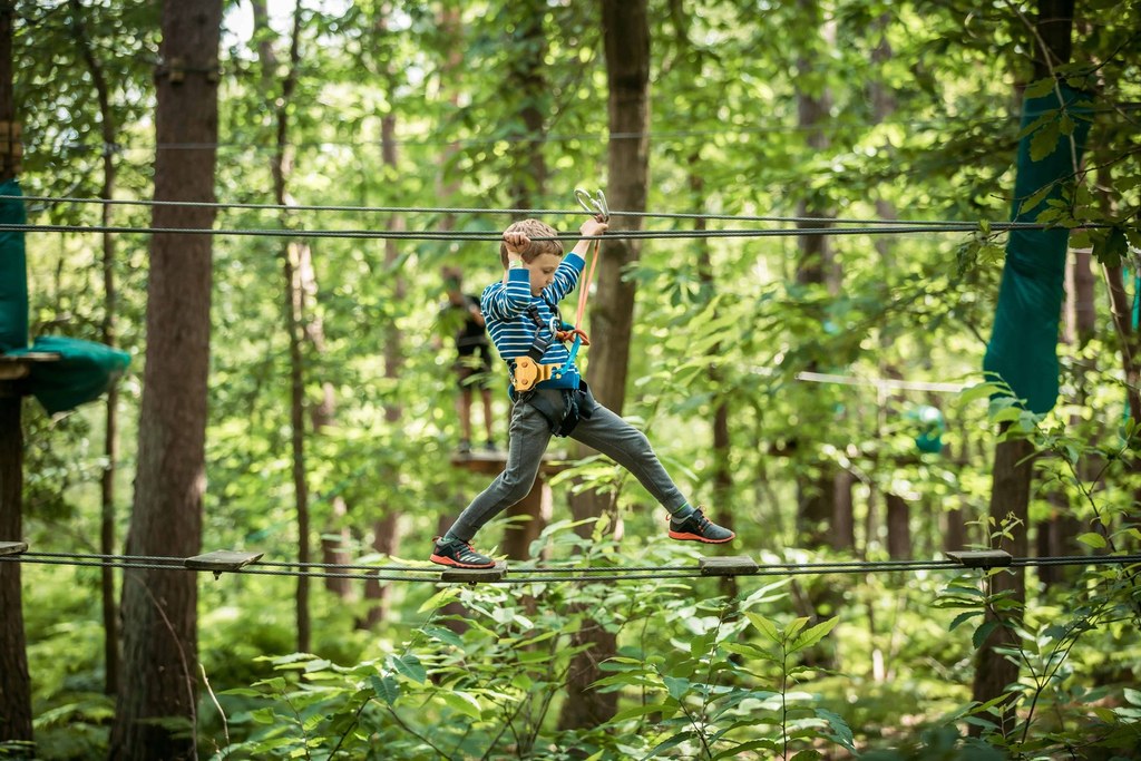 Des parcours enfants Accrobranche en Essonne