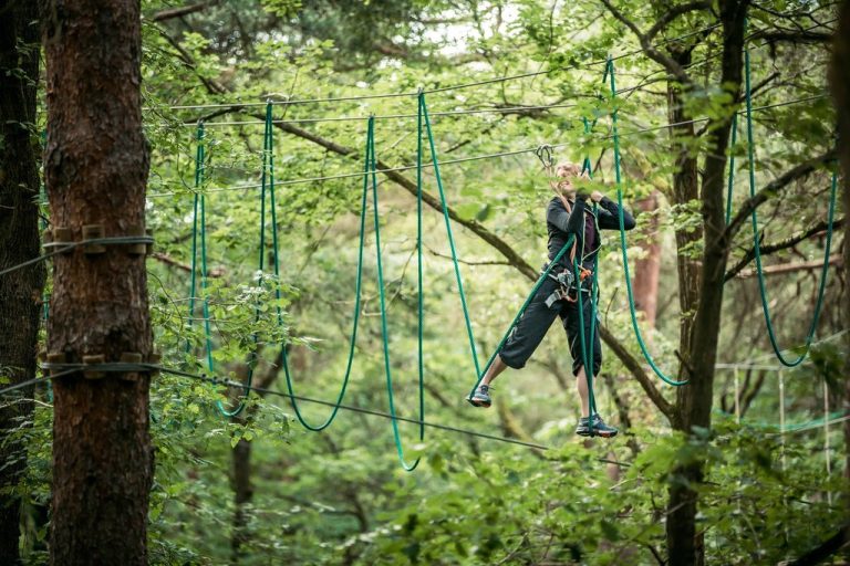 parcours accrobranche en forêt en Essonne
