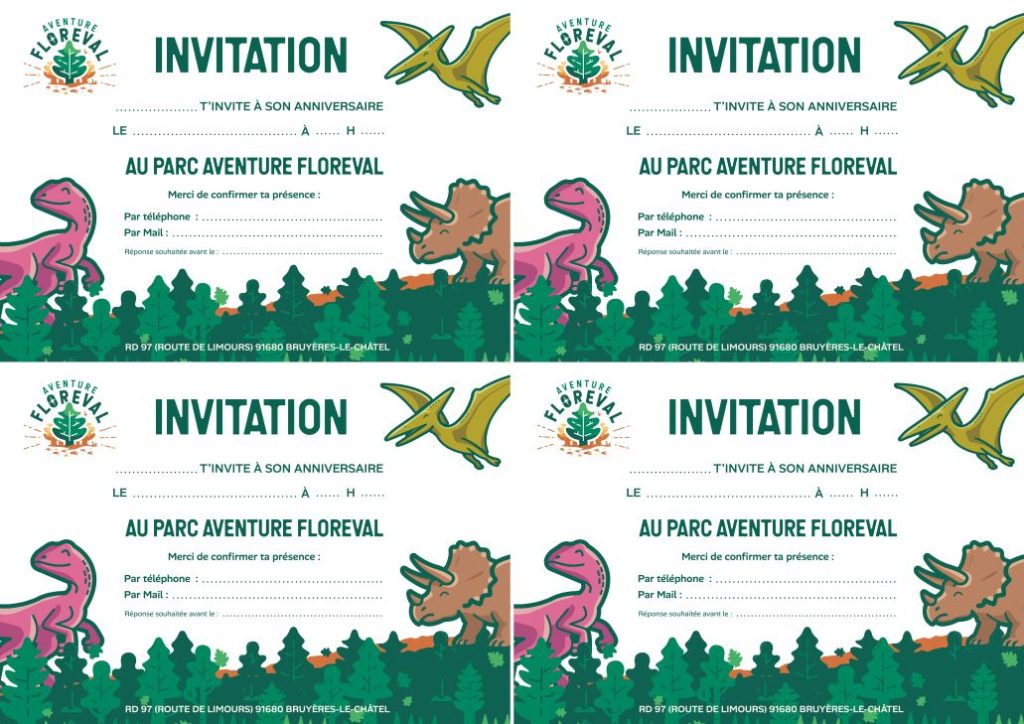 Invitations anniversaire Aventure Floreval