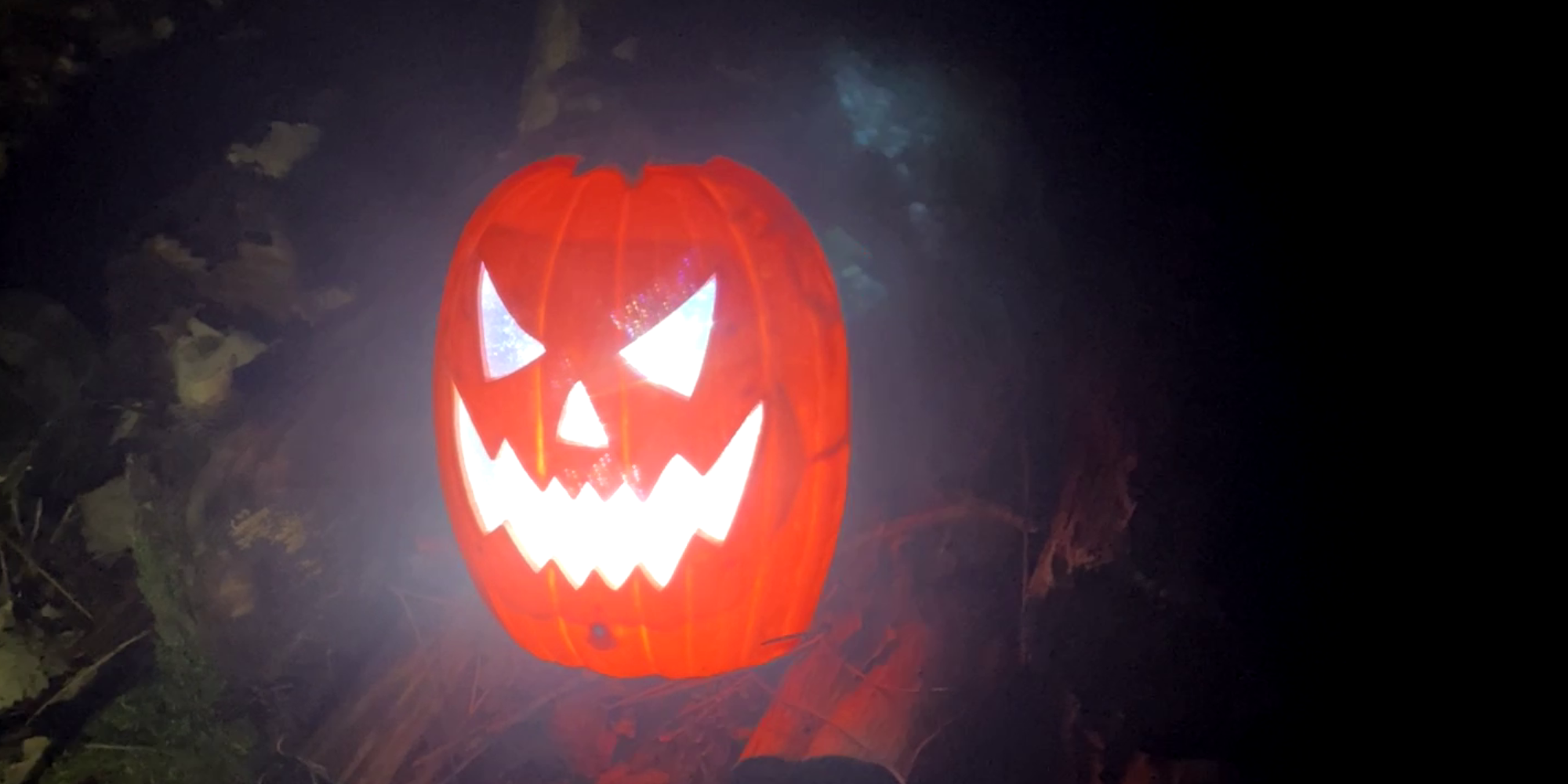 Nocturnes Halloween à Floreval